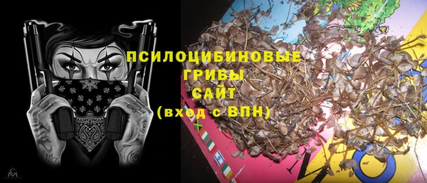 ГАЛЛЮЦИНОГЕННЫЕ ГРИБЫ Семилуки